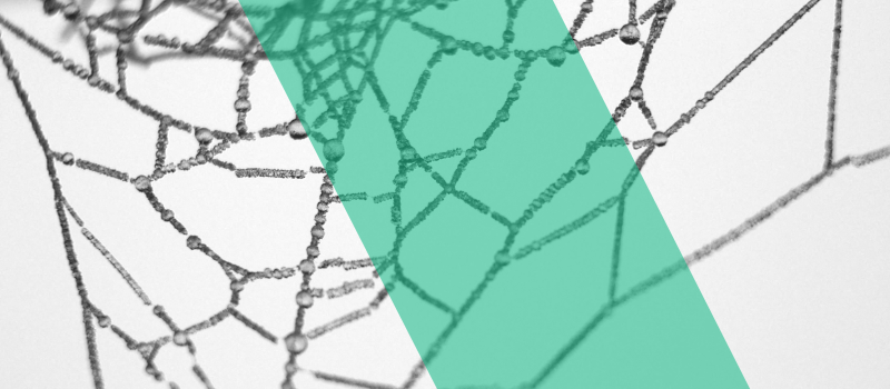 How to build a citation network for free.
